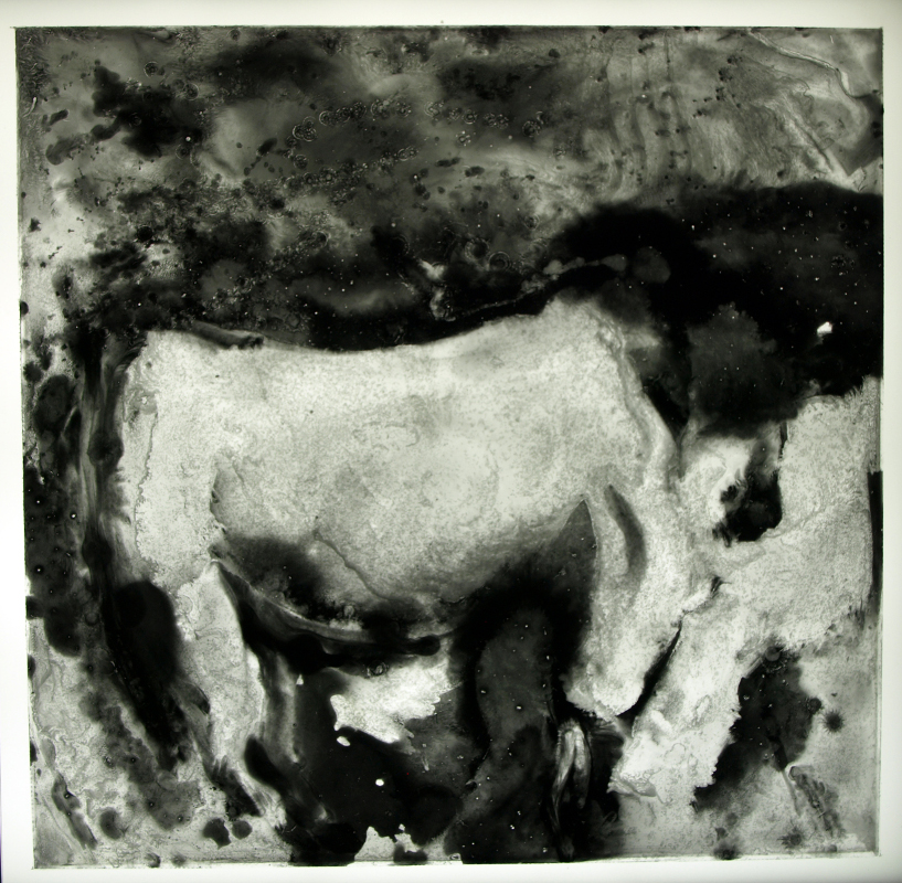 image of 
                                           stained glass panel: Charolais cow